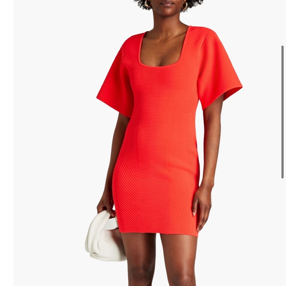 Herve Leger Corset Mini Dress